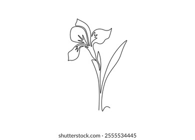 Continuous one line drawing beauty fresh perennial plants for wall decor home art poster print. Decorative iris flower concept for invitation card. Single line draw design vector graphic illustration