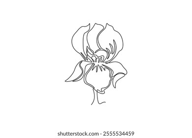 Continuous one line drawing beauty fresh perennial plants for wall decor home art poster print. Decorative iris flower concept for invitation card. Single line draw design vector graphic illustration