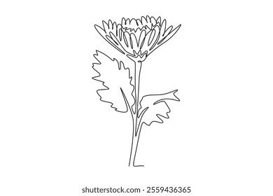 Continuous one line drawing of beauty fresh chrysanthemum for garden logo. Printable decorative chrysanth flower concept for greeting card ornament. Single line draw design vector graphic illustration