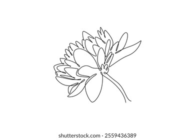 Continuous one line drawing of beauty fresh chrysanthemum garden logo. Printable decorative mum flower concept for home decor wall art poster print. Single line draw design vector graphic illustration