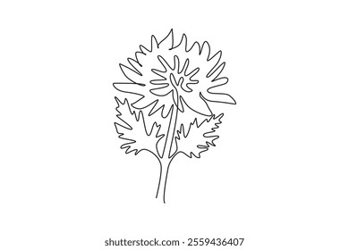 Continuous one line drawing of beauty fresh chrysanthemum garden logo. Printable decorative chrysanth flower concept for home wall decor art poster. Single line draw design vector graphic illustration