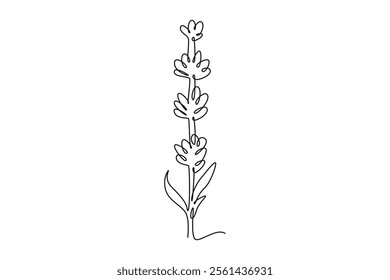 Continuous one line drawing beauty fresh lavandula for home wallpaper decor art print poster. Decorative lavender flower for greeting card ornament. Single line draw design vector graphic illustration