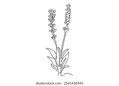 Continuous one line drawing beauty fresh lavandula for home wall decor art poster print. Printable decorative lavender flower for invitation card. Single line draw design vector graphic illustration