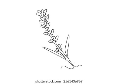 Continuous one line drawing beauty fresh lavandula for home wall decoration art poster print. Printable decorative lavender flower for green park. Single line draw design vector graphic illustration