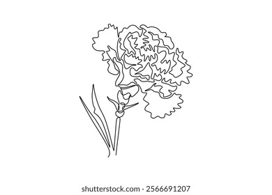 Continuous one line drawing of beauty fresh carnation for garden logo. Decorative dianthus caryophyllus flower for home wall decor art poster print. Single line draw design vector graphic illustration