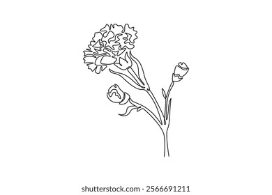 Continuous one line drawing beauty fresh carnation for home art wall decor poster. Printable decorative dianthus flower for greeting card ornament. Single line draw design vector graphic illustration