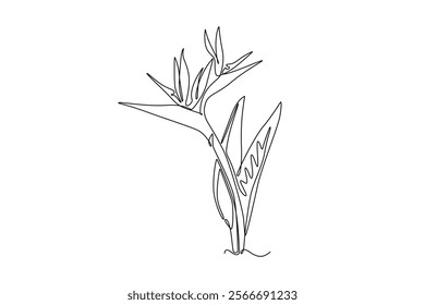 Continuous one line drawing beauty fresh strelitzia for home art wall decor poster print. Decorative bird of paradise flower concept for green park. Single line draw design vector graphic illustration