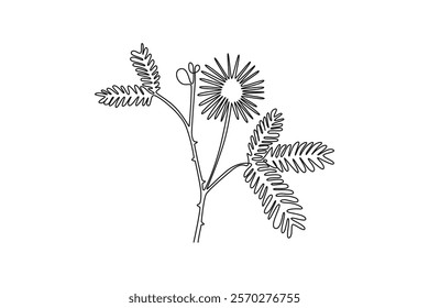 Continuous one line drawing of beauty fresh mimosa pudica for home decor wall art poster print. Decorative touch-me-not flower for invitation card. Single line draw design vector graphic illustration