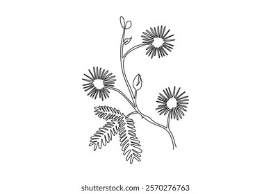 Continuous one line drawing beauty fresh mimosa pudica for garden logo. Decorative action plant concept for home wall decoration art poster print. Single line draw design vector graphic illustration