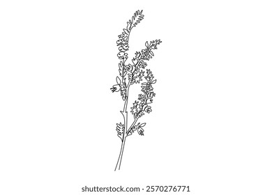 Continuous one line drawing beauty fresh heather for home decoration wall art poster. Decorative calluna vulgaris flower for floral invitation card. Single line draw design vector graphic illustration