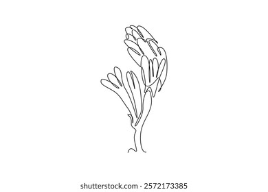 Continuous one line drawing beauty fresh polianthes tuberosa for home decor art wall poster print. Decorative tuberose flower for invitation card. Single line draw design vector graphic illustration