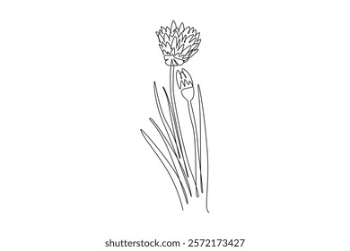 Continuous one line drawing beauty fresh allium tuberosum for garden logo. Decorative chives flower concept for home wall decor kitchen art poster. Single line draw design vector graphic illustration