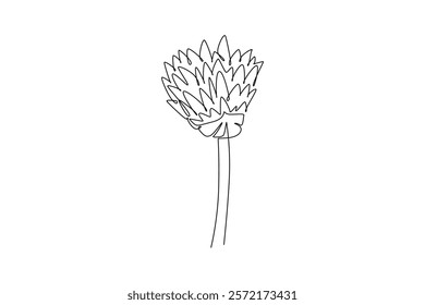 Continuous one line drawing of beauty fresh allium tuberosum for garden logo. Decorative chives flower concept for home wall decor art poster print. Single line draw design vector graphic illustration