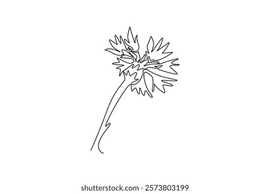 Continuous one line drawing beauty fresh centaurea cyanus for home decor wall art poster print. Decorative cornflower concept for invitation card. Single line draw design vector graphic illustration