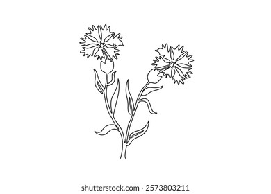 Continuous one line drawing beauty fresh centaurea cyanus for home decor wall art poster print. Decorative cornflower concept for invitation card. Single line draw design vector graphic illustration