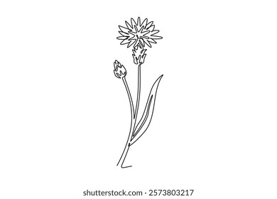 Continuous one line drawing beauty fresh bachelor button for home decor wall art poster print. Decorative cornflower concept for floral card frame. Single line draw design vector graphic illustration