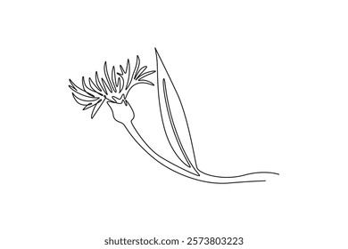 Continuous one line drawing beauty fresh centaurea cyanusfor garden logo. Decorative cornflower concept for home decoration wall art poster print. Single line draw design vector graphic illustration