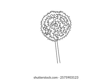 Continuous one line drawing beauty fresh allium globemaster for home art wall decor poster print. Decorative giant onion flower for greeting card. Single line draw design vector graphic illustration