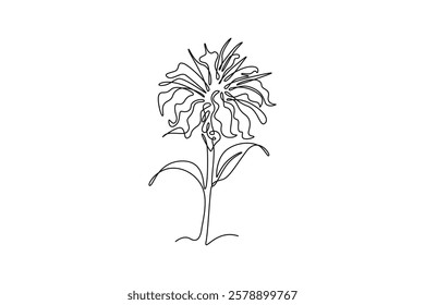 Continuous one line drawing beauty fresh bergamot monarda for home decoration wall art poster. Decorative bee balm flower concept for greeting card. Single line draw design vector graphic illustration