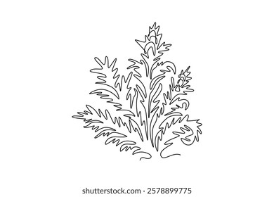 Continuous one line drawing beauty fresh bear's breeches for garden logo icon. Decorative acanthus flower concept for floral invitation card frame. Single line draw design vector graphic illustration