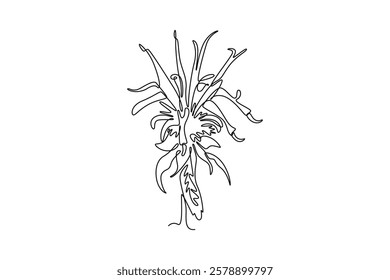 Continuous one line drawing beauty fresh monarda for garden logo. Decorative horsemint oswago tea flower concept for floral invitation card frame. Single line draw design vector graphic illustration