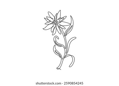 Continuous one line drawing beauty and exotic mountain leontopodium plant. Decorative edelweiss flower concept for home decor wall art poster print. Single line draw design vector graphic illustration