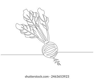 Continuous one line drawing of beet root. One line drawing illustration of growing radish. Vegetable growing concept continuous line art. Editable outline.   