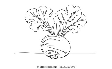 Continuous one line drawing of beetroot vegetable. Beetroot single line art vector illustration. Editable vector.