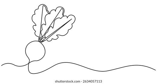 Continuous one line drawing of beetroot vegetable. Beetroot single line art vector illustration. Garden beet black linear sketch isolated on white background. Editable vector.