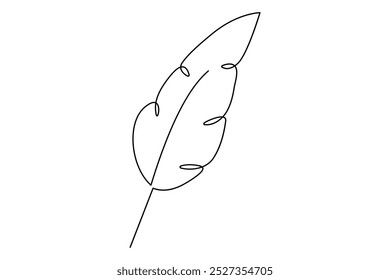 
continuous one line drawing of Bird feather Isolated on white background vector illustration