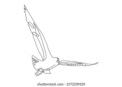 Continuous one line, drawing of birds hand-drawn, simple lines, vector illustration, logo