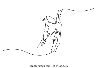 Continuous one line drawing birds. Minimalist bird, outline design, Vector illustration isolated. Minimalist design drawn.