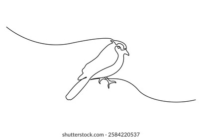 Continuous one line drawing birds. Minimalist bird, outline design, Vector illustration isolated. Minimalist design drawn.