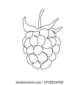 Continuous one line drawing blackberry. Vector illustration. Black line art on white background. Cartoon blackberry isolated on white background.  Vegan concept