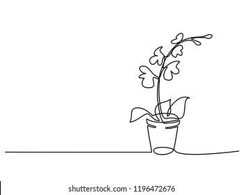 Continuous one line drawing. Blooming orchid in pot. Vector illustration