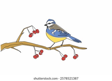 Continuous one line drawing blue tit bird perched on a tree branch with red berries growing on it. Home birds. Pet birds. International Dawn Chorus Day. Single line draw design vector illustration