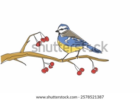 Continuous one line drawing blue tit bird perched on a tree branch with red berries growing on it. Home birds. Pet birds. International Dawn Chorus Day. Single line draw design vector illustration