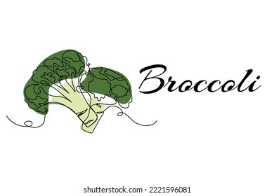 Continuous one line drawing of broccoli. Vector illustration on isolated background.