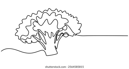 Continuous one line drawing of broccoli. One line drawing illustration of whole healthy organic green broccoli. fresh vegetable concept continuous line art. Editable outline, Fresh Broccoli Continuous