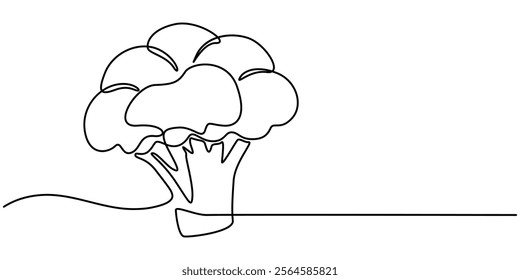 Continuous one line drawing of broccoli. One line drawing illustration of whole healthy organic green broccoli. fresh vegetable concept continuous line art. Editable outline, Fresh Broccoli Continuous