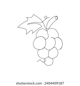 Continuous one line drawing of bunch of grapes. Vector illustration.