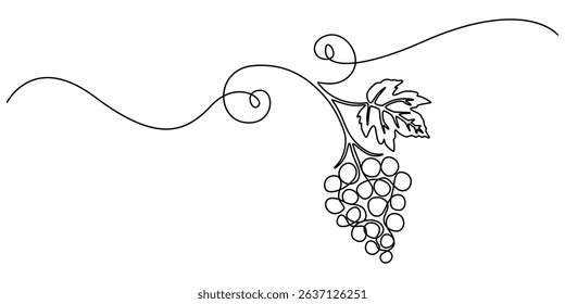 Continuous one line drawing of a bunch of grapes,  representing elegance and natural sweetness, line art style vector illustration, Bunch of grapes. Minimalist line drawing, one continuous line, pro.