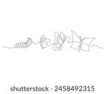 Continuous one line drawing of butterfly life cycle. One line drawing illustration of butterfly metamorphosis. Butterfly transformation concept continuous line art. Editable outline.