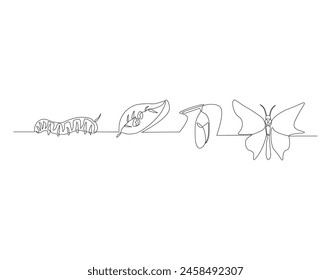 Continuous one line drawing of butterfly life cycle. One line drawing illustration of butterfly metamorphosis. Butterfly transformation concept continuous line art. Editable outline.