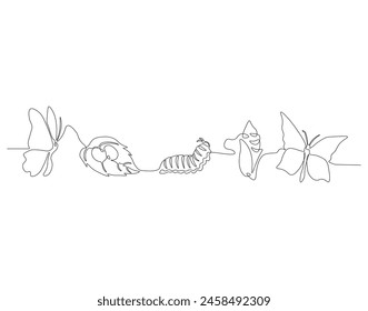 Continuous one line drawing of butterfly life cycle. One line drawing illustration of butterfly metamorphosis. Butterfly transformation concept continuous line art. Editable outline.