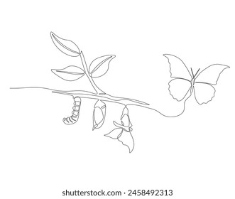 Continuous one line drawing of butterfly life cycle. One line drawing illustration of butterfly metamorphosis. Butterfly transformation concept continuous line art. Editable outline.