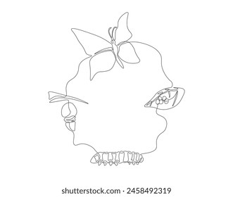 Continuous one line drawing of butterfly life cycle. One line drawing illustration of butterfly metamorphosis. Butterfly transformation concept continuous line art. Editable outline.