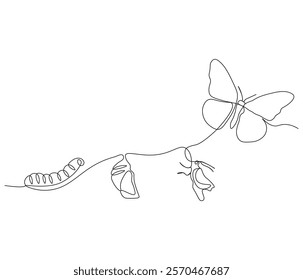 Continuous one line drawing of butterfly life cycle . Single line drawing illustration of perfect metamorphosis . Butterfly transformation concept vector art. Doodle line illustration.

