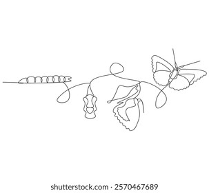 Continuous one line drawing of butterfly life cycle . Single line drawing illustration of perfect metamorphosis . Butterfly transformation concept vector art. Doodle line illustration.

