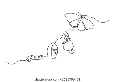 Continuous one line drawing of Butterfly life cycle. Single line drawing illustration of Growth Butterfly. Perfect metamorphosis concept vector art. Line vector illustration.